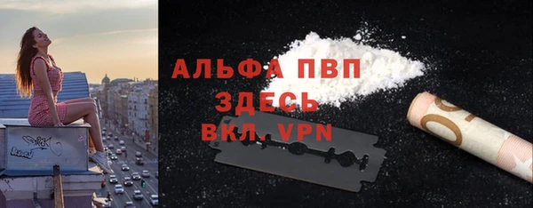 тгк Новодвинск