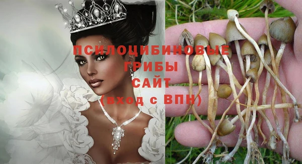 дмт Новокубанск