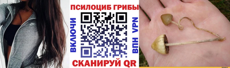 Псилоцибиновые грибы ЛСД Бирюч