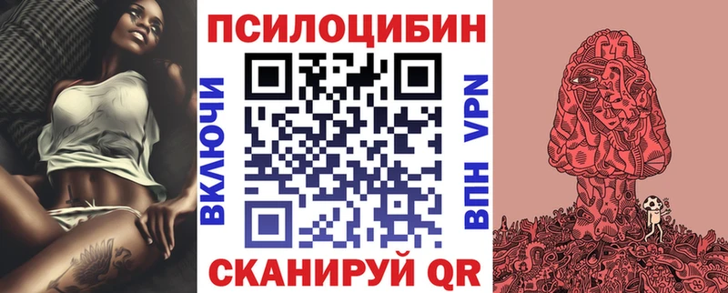 где продают наркотики  Бирюч  Псилоцибиновые грибы Psilocybine cubensis 