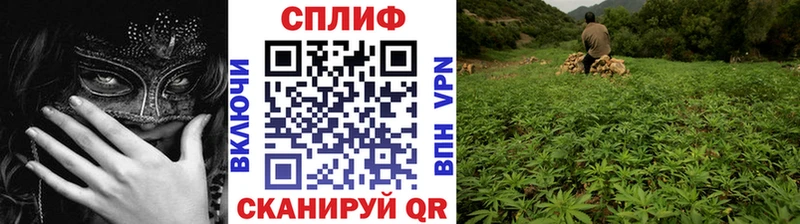 Каннабис индика даркнет сайт Бирюч